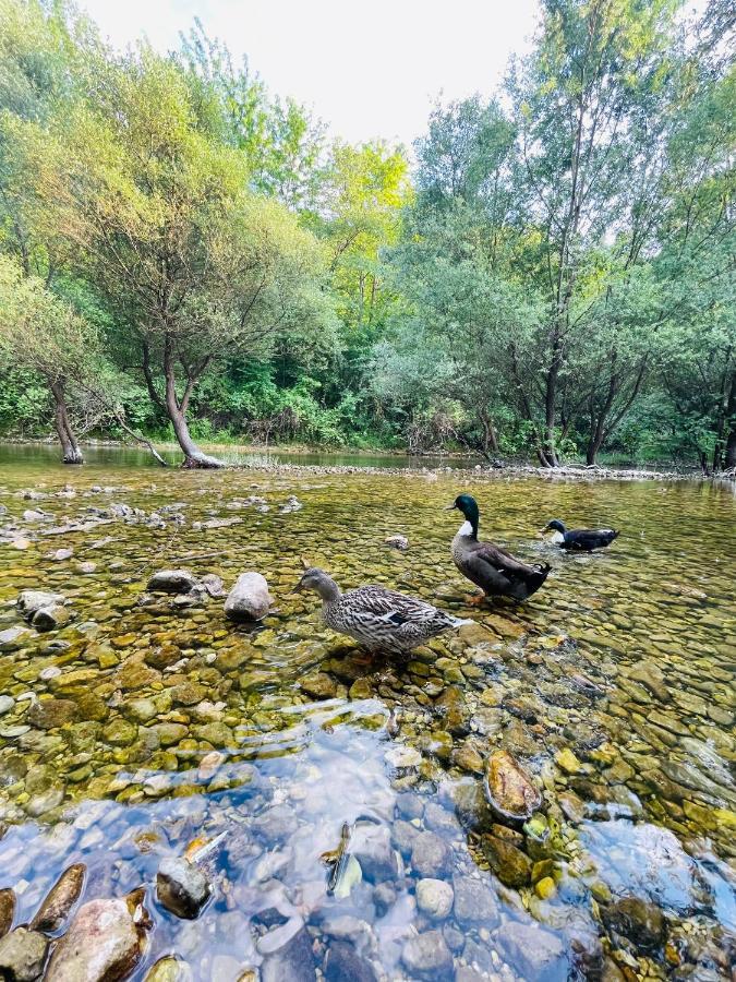 Skala Luxury Rooms Cetinje Bagian luar foto